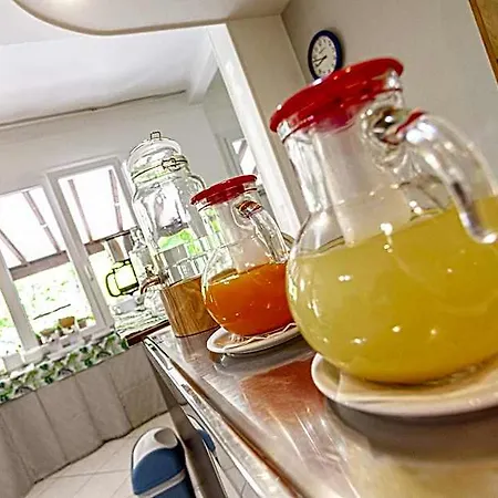 Hotel Rio & Breakfast 2*