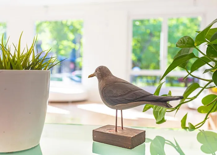 Hotel Rio Beach&breakfast 2*